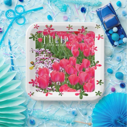 Tulip Pappteller (Party)