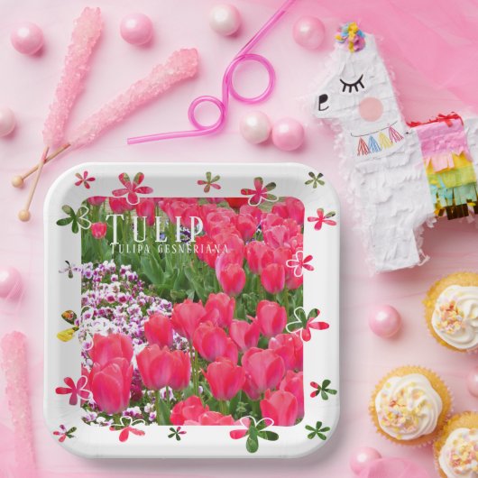 Tulip Pappteller (Party)