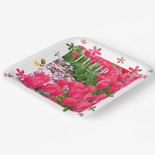 Tulip Pappteller (Gewinkelt)