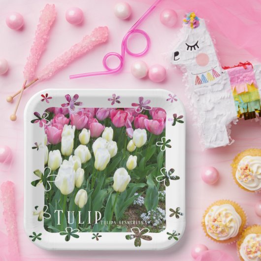 Tulip Pappteller (Party)