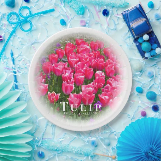 Tulip Pappteller (Party)