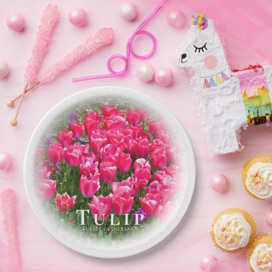 Tulip Pappteller (Party)