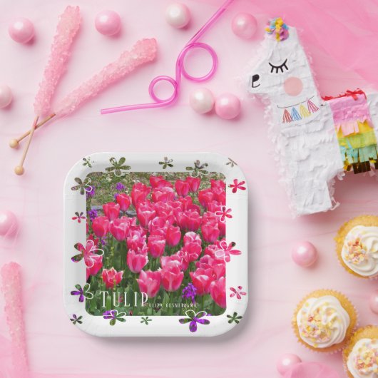 Tulip Pappteller (Party)