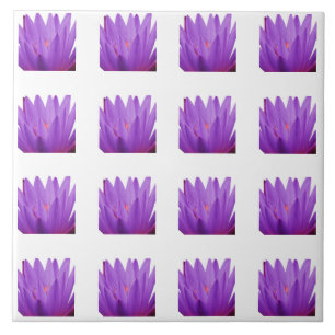 Tulip Pattern Fliese