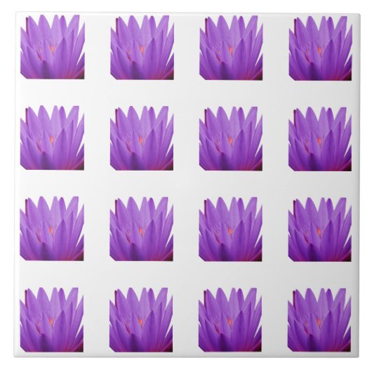 Tulip Pattern Fliese (Vorderseite)