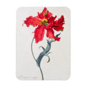 Tulip: Perroquet Rouge Magnet (Vertikal)