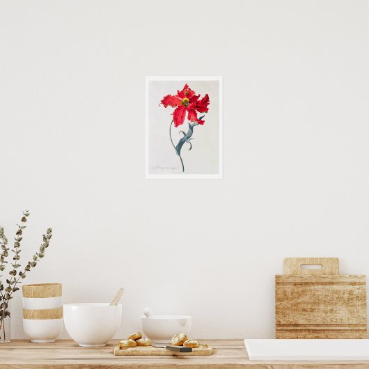 Tulip: Perroquet Rouge Poster (Küche)