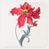 Tulip: Perroquet Rouge Quadratischer Aufkleber (Vorderseite)