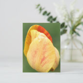 Tulip Petals Flower Photography Personalized Postkarte (Stehend Vorderseite)