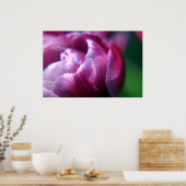 Tulip Petals Poster (Küche)