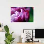Tulip Petals Poster (Heimbüro)