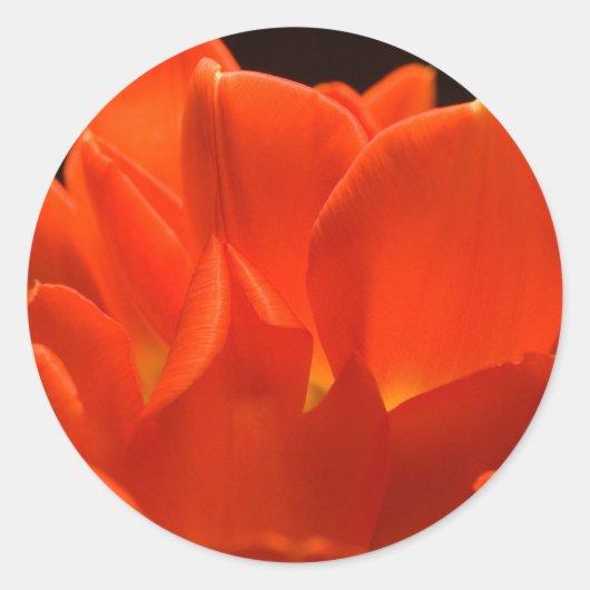 Tulip Petals Stickers (Vorderseite)