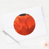 Tulip Petals Stickers (Umschlag)