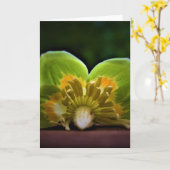Tulip Poplar Blossom, Karte (Gelbe Blume)