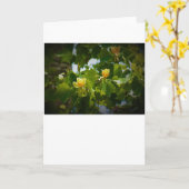 Tulip Poplar Blossom, Karte (Gelbe Blume)
