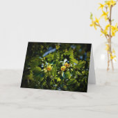 Tulip Poplar Blossom, Karte (Gelbe Blume)