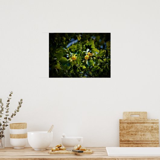 Tulip Poplar Blossom, Poster (Küche)