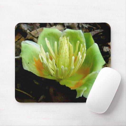 Tulip Poplar Blume Mousepad (Mit Mouse)