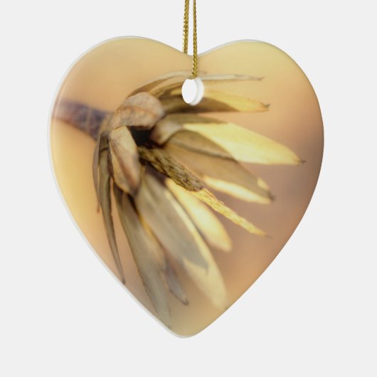 Tulip Poplar Empty Seed Pod Keramikornament (Rechts)