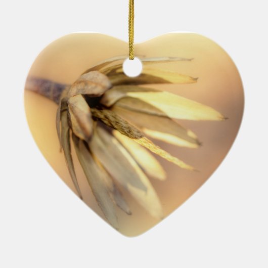 Tulip Poplar Empty Seed Pod Keramikornament (Hinten)