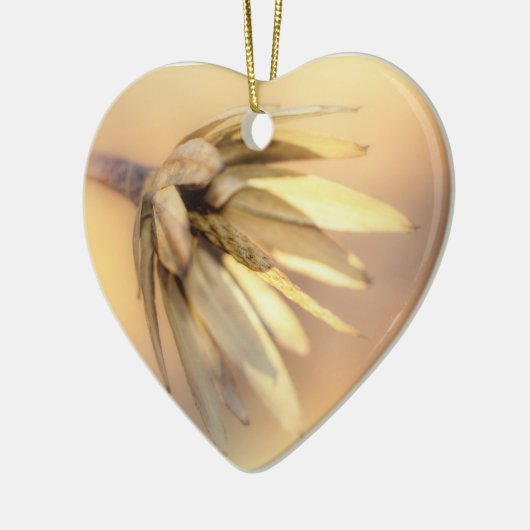 Tulip Poplar Empty Seed Pod Keramikornament (Links)