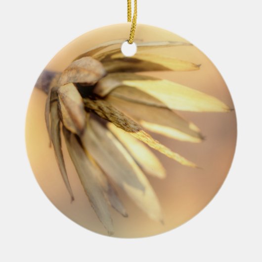 Tulip Poplar Empty Seed Pod Keramikornament (Vorne)