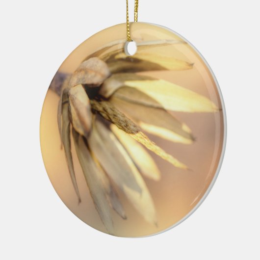 Tulip Poplar Empty Seed Pod Keramikornament (Links)