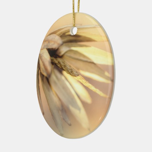 Tulip Poplar Empty Seed Pod Keramikornament (Links)