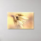 Tulip Poplar Empty Seed Pod Leinwanddruck (Vorderseite)