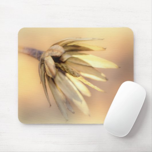 Tulip Poplar Empty Seed Pod Mousepad (Mit Mouse)