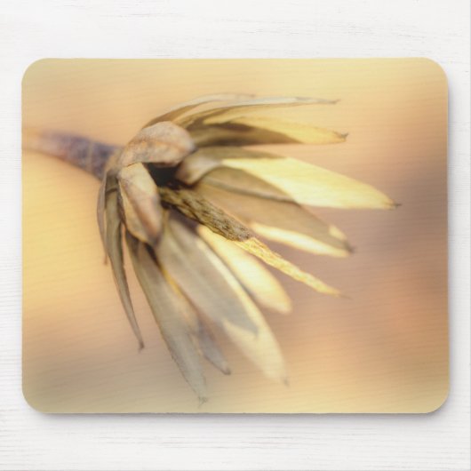 Tulip Poplar Empty Seed Pod Mousepad (Vorne)