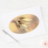 Tulip Poplar Empty Seed Pod Ovaler Aufkleber (Umschlag)