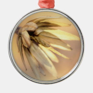 Tulip Poplar Empty Seed Pod Silbernes Ornament