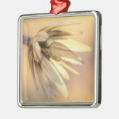 Tulip Poplar Empty Seed Pod Silbernes Ornament (Links)