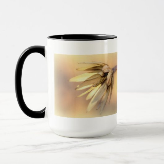 Tulip Poplar Empty Seed Pod Tasse (Links)