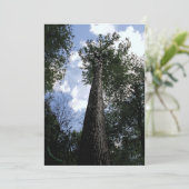 Tulip Poplar/Joyce Kilmer Gedicht Tree Card Save The Date (Stehend Vorderseite)