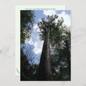 Tulip Poplar/Joyce Kilmer Gedicht Tree Card Save The Date (Vorne/Hinten)