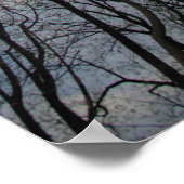 Tulip Poplar Trees Cloudy Blue Sky Poster (Ecke)