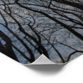 Tulip Poplar Trees Cloudy Blue Sky Poster (Ecke)
