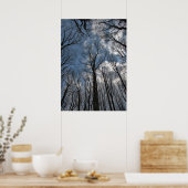Tulip Poplar Trees Cloudy Blue Sky Poster (Küche)