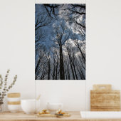 Tulip Poplar Trees Cloudy Blue Sky Poster (Küche)