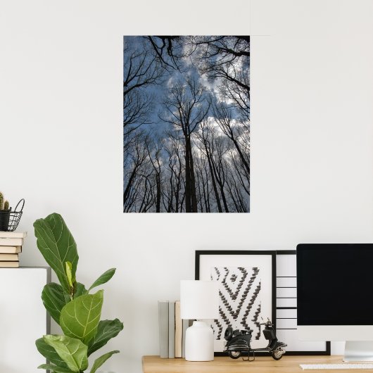 Tulip Poplar Trees Cloudy Blue Sky Poster (Heimbüro)