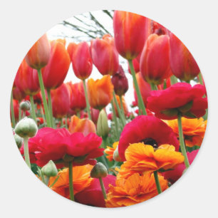 Tulip Poppy Tance Runder Aufkleber