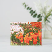 Tulip [Postcard] Postkarte (Stehend Vorderseite)