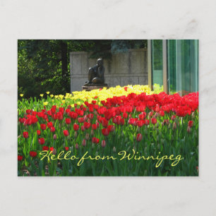 Tulip Postcard Postkarte
