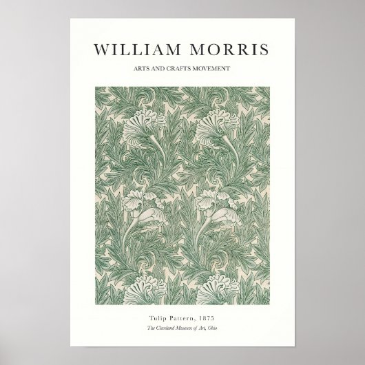Tulip Poster (Vorne)