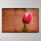 Tulip Poster (Vorne)