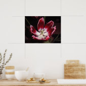 Tulip Poster (Küche)