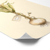 Tulip - Poster (Ecke)