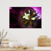 Tulip Poster (Küche)